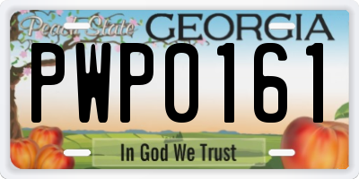 GA license plate PWP0161
