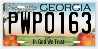GA license plate PWP0163