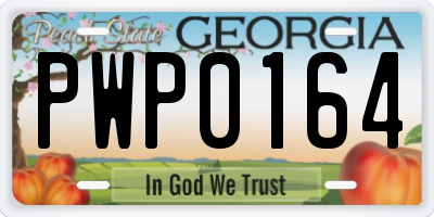 GA license plate PWP0164