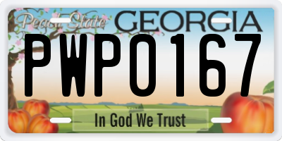 GA license plate PWP0167