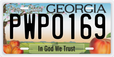GA license plate PWP0169