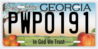 GA license plate PWP0191