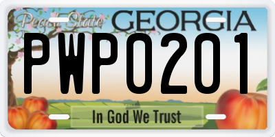 GA license plate PWP0201