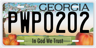GA license plate PWP0202
