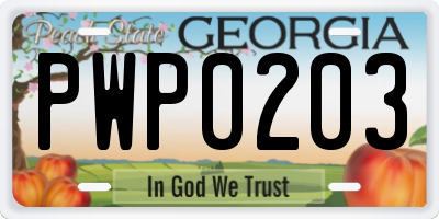 GA license plate PWP0203