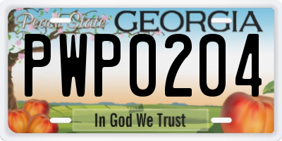 GA license plate PWP0204