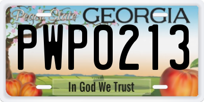 GA license plate PWP0213