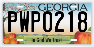 GA license plate PWP0218