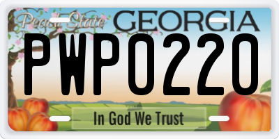 GA license plate PWP0220
