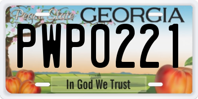 GA license plate PWP0221