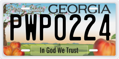GA license plate PWP0224