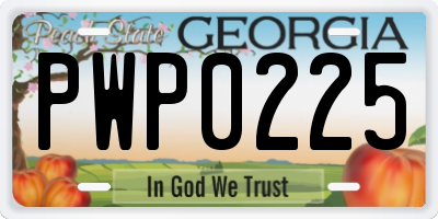 GA license plate PWP0225