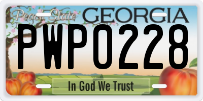 GA license plate PWP0228