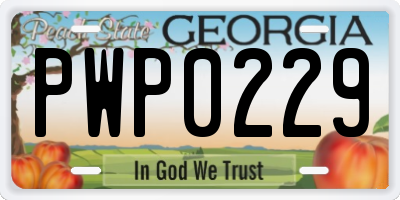 GA license plate PWP0229