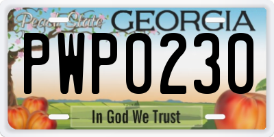 GA license plate PWP0230