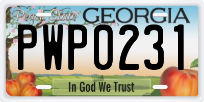 GA license plate PWP0231