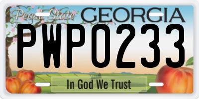 GA license plate PWP0233
