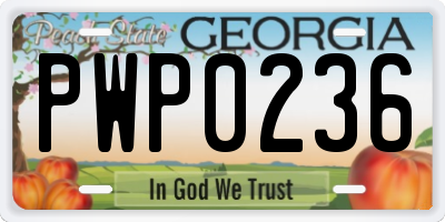 GA license plate PWP0236