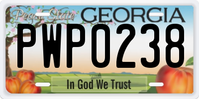 GA license plate PWP0238