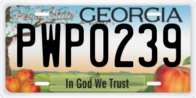 GA license plate PWP0239
