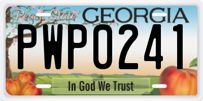 GA license plate PWP0241