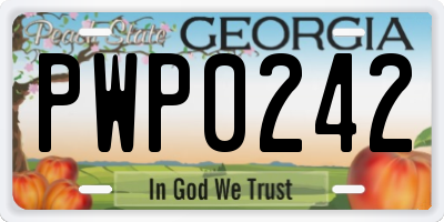 GA license plate PWP0242