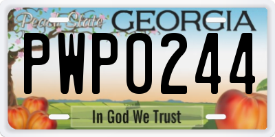 GA license plate PWP0244