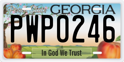 GA license plate PWP0246
