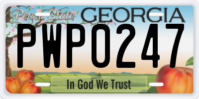 GA license plate PWP0247