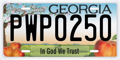 GA license plate PWP0250