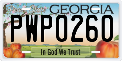 GA license plate PWP0260