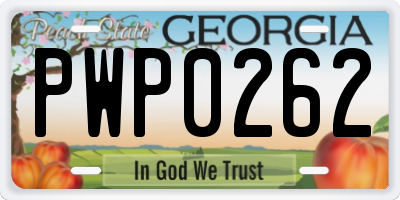 GA license plate PWP0262