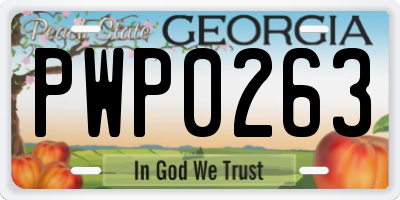 GA license plate PWP0263