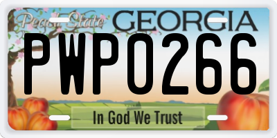 GA license plate PWP0266