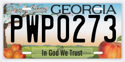 GA license plate PWP0273