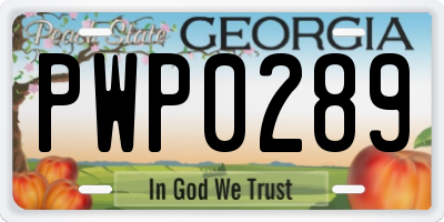 GA license plate PWP0289