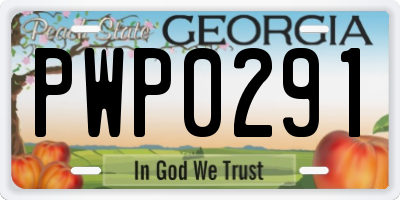 GA license plate PWP0291