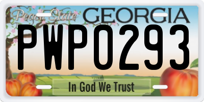 GA license plate PWP0293