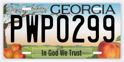 GA license plate PWP0299