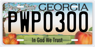 GA license plate PWP0300