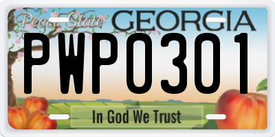 GA license plate PWP0301