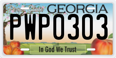 GA license plate PWP0303
