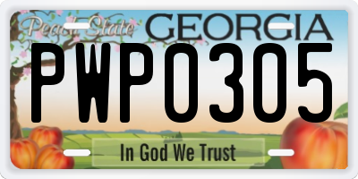 GA license plate PWP0305
