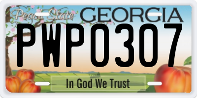 GA license plate PWP0307