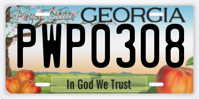 GA license plate PWP0308