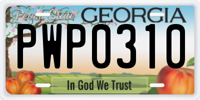 GA license plate PWP0310