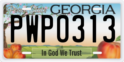 GA license plate PWP0313