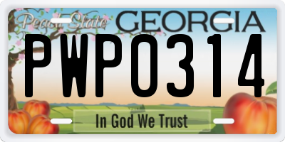 GA license plate PWP0314