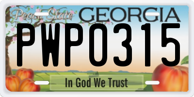 GA license plate PWP0315