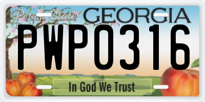 GA license plate PWP0316